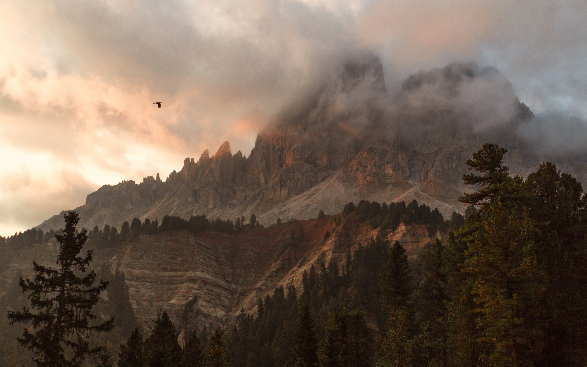 Assistência técnica